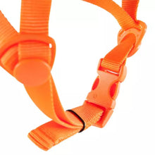 Load image into Gallery viewer, Climbing And Mountaineering Helmet - Rock Grey