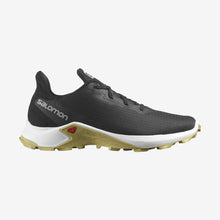 Load image into Gallery viewer, The men's Salomon ALPHACROSS 3