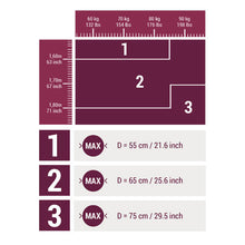 Load image into Gallery viewer, Durable fitness gym ball size 2 - 65 cm