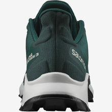 Load image into Gallery viewer, The men's Salomon ALPHACROSS 3