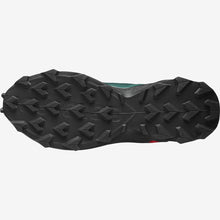 Load image into Gallery viewer, The men's Salomon ALPHACROSS 3
