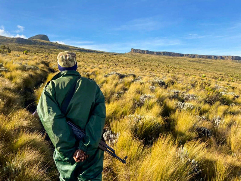 Mountain Elgon Wagagai peak trails