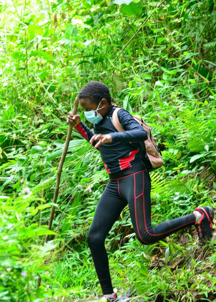 JungleJam- Kid's camps and outdoor adventures