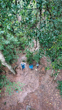 Load image into Gallery viewer, Zika forest Epic hike
