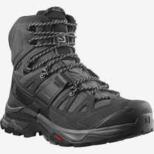 Load image into Gallery viewer, Salomon QUEST 4 GTX

- magnet black quarry
