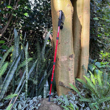 Load image into Gallery viewer, GO- 990 ANTISHOCK TREKKING/ HIKING POLE - Sunny Outdoors

