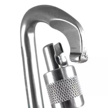 Load image into Gallery viewer, Screwgate Karabiner 3000 - Polished - Sunny Outdoors
