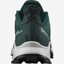 Load image into Gallery viewer, The men's Salomon ALPHACROSS 3 - Sunny Outdoors
